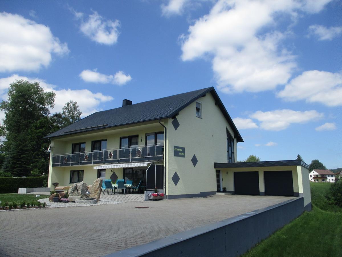 Pension Erika Mehlmeisel Exterior foto